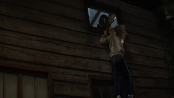 Náhled Pátek třináctého 3 (Friday the 13th Part III - 1982) cz dabing, horor.avi (10)