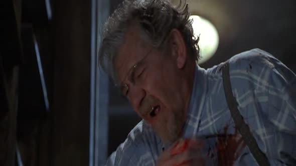 Náhled Nadany-zak-1998-DVDRip-czdub.avi (8)