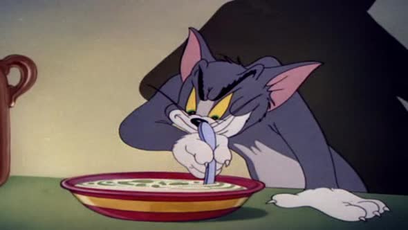 Náhled Tom_&_Jerry 1.avi (4)