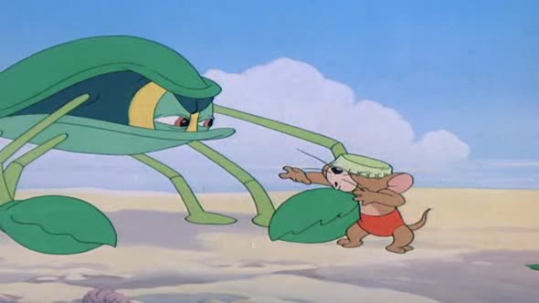 Náhled Tom_&_Jerry 1.avi (5)