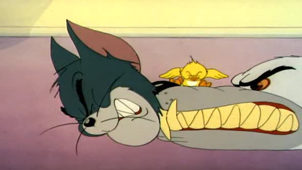 Náhled Tom_&_Jerry 1.avi (8)