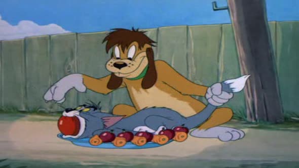 Náhled Tom_&_Jerry 1.avi (9)