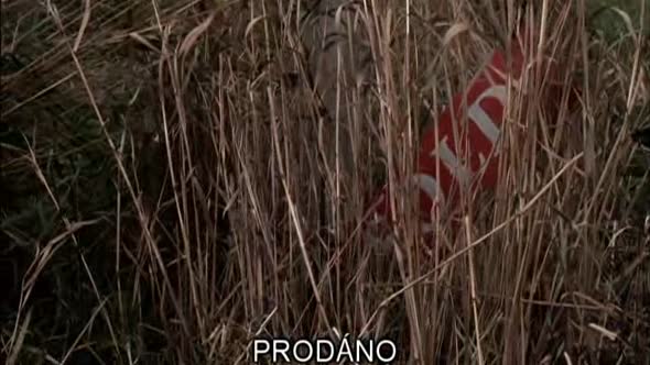 Náhled Lovci duchů 4x11 -O rodičích a dětech.avi (1)