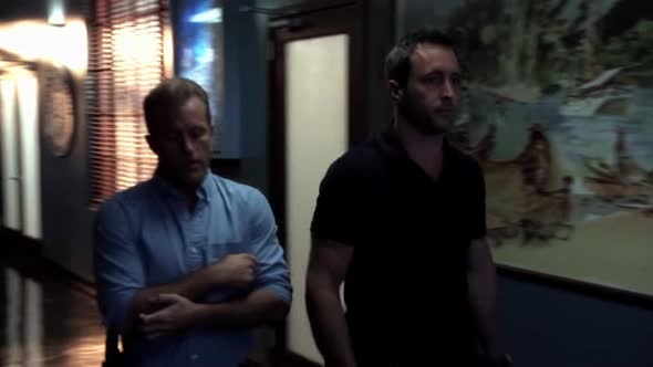 Náhled Hawaii 5-0 S05E06 - WEB-DL CZdabing.avi (8)
