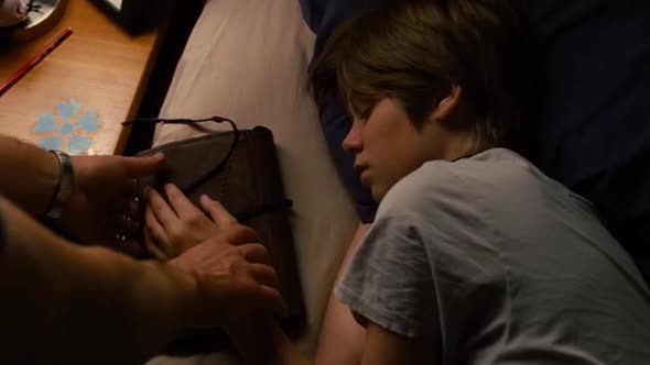 Náhled We.Bought.a.zoo.2011.BRRip.XviD.CZ-LEADERs.avi (1)