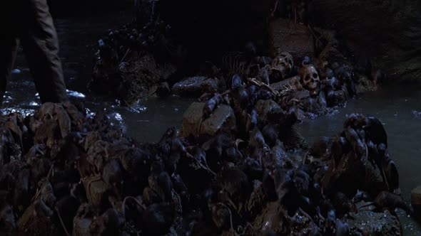 Náhled Indiana Jones A Poslední Křížová Výprava CZ 1989 HD.mkv (3)