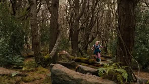 Náhled Most do země Terabithia (2007).avi (3)