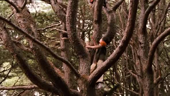 Náhled Most do země Terabithia (2007).avi (4)