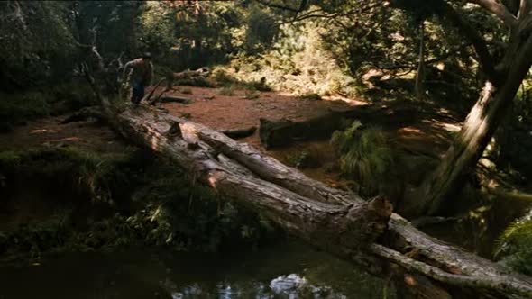 Náhled Most do země Terabithia (2007).avi (10)
