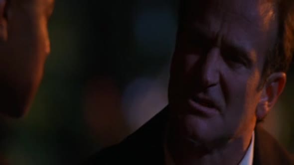 Náhled Jak-přicházejí-sny-Cz---Robin-Williams-Super.avi (6)