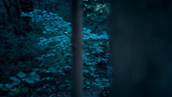 Náhled Merlin S01E12 DVDrip CZDAB.avi (6)