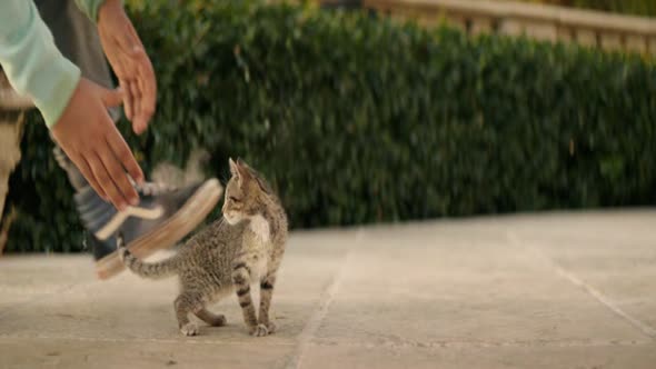 Náhled Keanu---Kocici-gangsterka (BDRip)-(CZ-dabing)-(CZ-forced)-(KOMEDIE).avi (10)