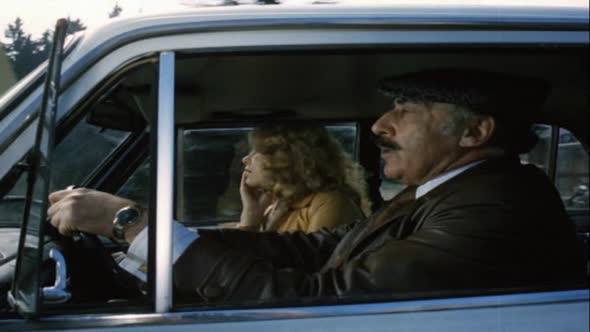Náhled Jak napálit advokáta (1980).avi (3)