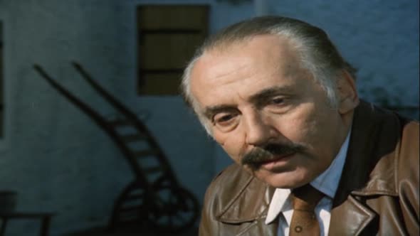 Náhled Jak napálit advokáta (1980).avi (8)