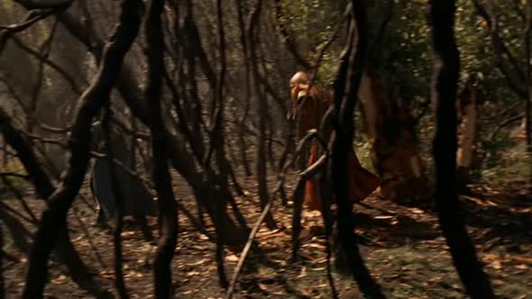 Náhled Farscape S04E09 CZ dabing.avi (2)