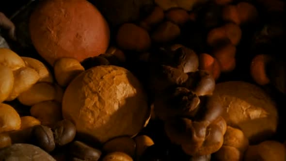 Náhled Farscape S04E09 CZ dabing.avi (3)