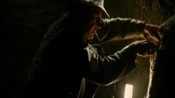 Náhled Indiana Jones a Království Křišťálové lebky (2008) CZ Dabing.avi (5)