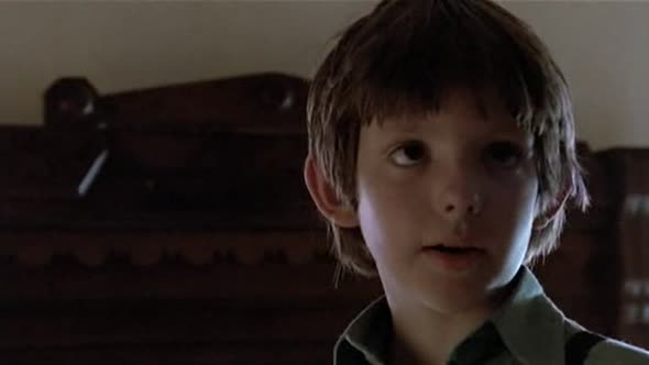 Náhled Svědek (1985) (CZ) (Drama, Romantický, Thriller).avi (5)