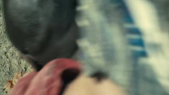 Náhled Pachuť krve.avi (8)
