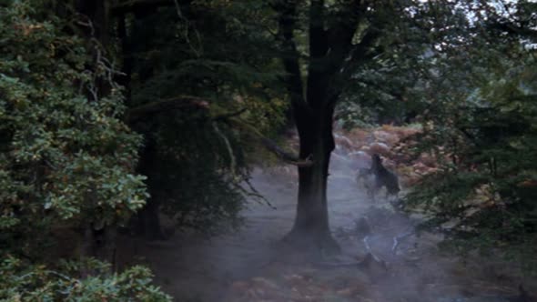 Náhled Merlin-S02E11-DVDRip-XviD-CZ.avi (6)