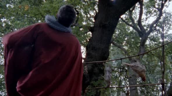 Náhled Merlin-S02E11-DVDRip-XviD-CZ.avi (8)