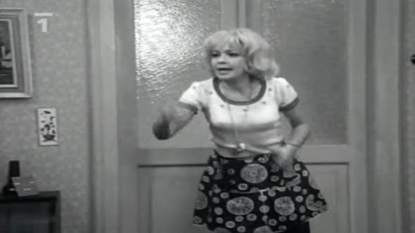 Náhled Tetička za všechny peníze - komedie, 1973.avi (2)
