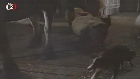 Náhled farma-zvirat-1999.avi (7)