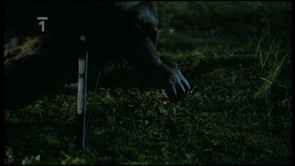 Náhled Strážce duší 13 Propast věku (2003).avi (9)