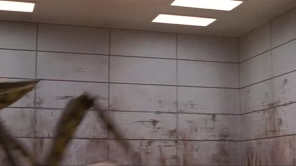 Náhled Hvězdná pěchota - Starship Troopers - 1997 DVDrip CZdabing.avi (2)