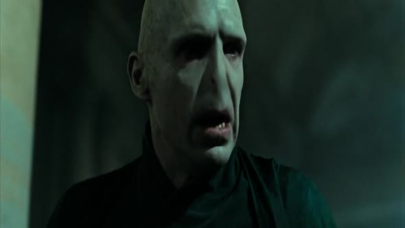 Náhled Harry.Potter.and.the.Deathly.Hallows.Pt2.2011.DvDrip.XviD_nCODE.avi (2)