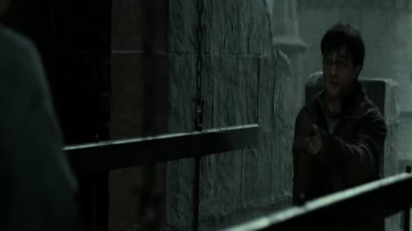 Náhled Harry.Potter.and.the.Deathly.Hallows.Pt2.2011.DvDrip.XviD_nCODE.avi (10)