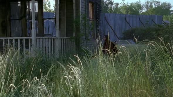 Náhled Walking Dead S06E02 Sk dabing.avi (1)