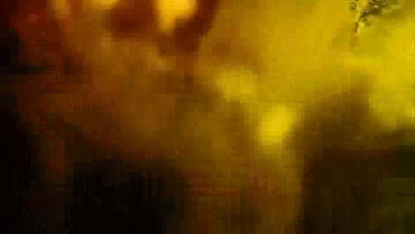 Náhled Krev - Posledni upir CZ dab 2009 DVDRip XviD.avi (4)