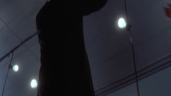 Náhled Past.1999.BDRip.XViD.CZ.avi (10)