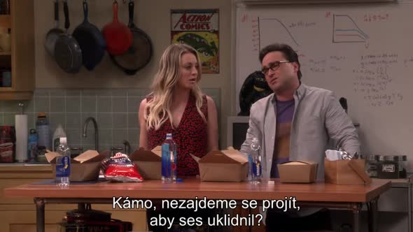 Náhled The Big Bang Theory S10E09 cz titulky.mp4 (3)