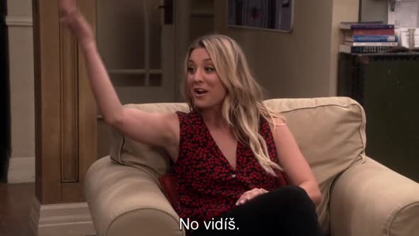Náhled The Big Bang Theory S10E09 cz titulky.mp4 (6)