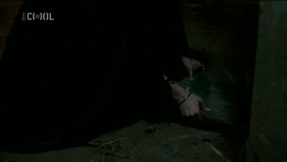 Náhled Da Vinciho demoni s01e03-cz dabing..avi (1)