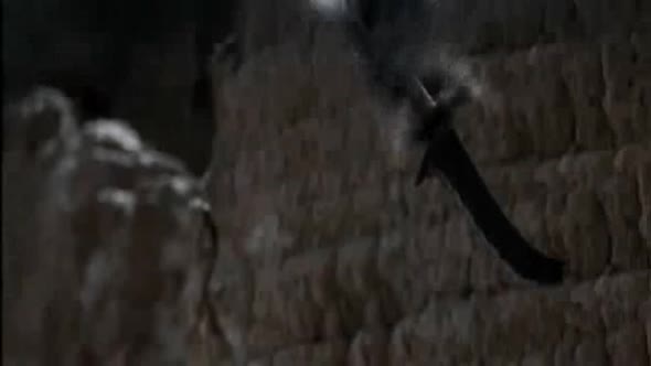 Náhled Maly velky bojovnik, CZ dabing (2010).avi (8)