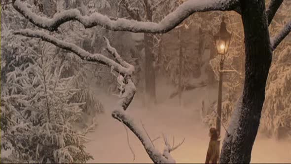 Náhled Narnia Lev, šatník a čarodejnica, CZ dabing (2005).avi (1)