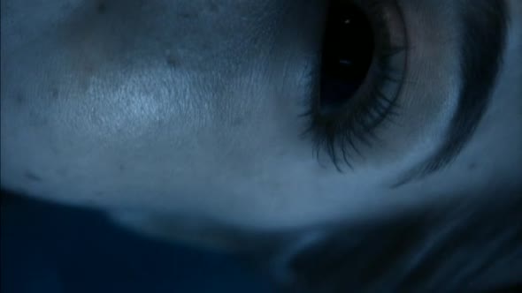 Náhled Smallville 08x09 DVDRIP CZ.avi (10)