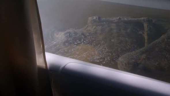 Náhled Heureka mesto divu - Eureka ( serial 2010 ) CZ S03E05 - Tajemstvi mumie.avi (5)