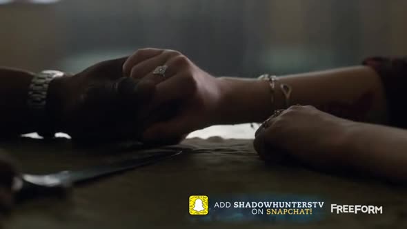 Náhled Shadowhunters S01E08 CZ titulky by Adamek.avi (8)