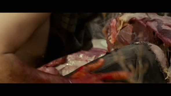 Náhled Útěk do divočiny CZ dabing - Dobrodružný Drama, USA, 2007.avi (7)