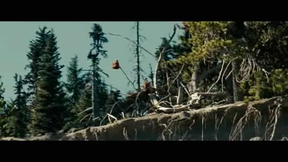 Náhled Útěk do divočiny CZ dabing - Dobrodružný Drama, USA, 2007.avi (9)