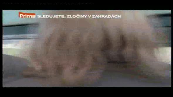 Náhled zločiny v zahradách 02-Tak-zhynou-všichni-nepřátelé.avi (6)