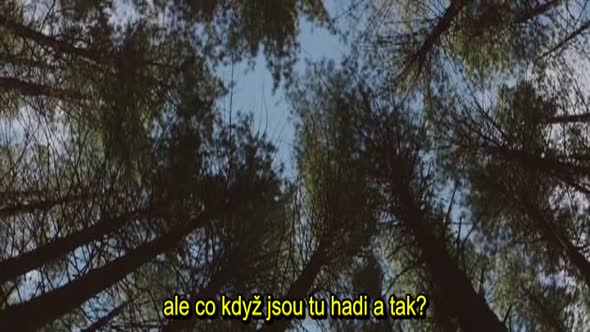 Náhled Dcera_The Daughter_2015_hc.titulky.CZ.avi (3)