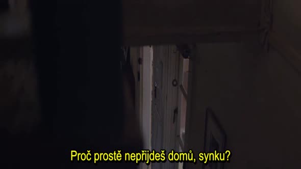Náhled Dcera_The Daughter_2015_hc.titulky.CZ.avi (9)
