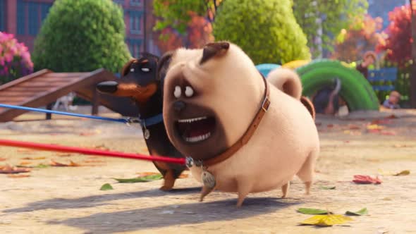 Náhled The.Secret.Life.of.Pets.2016.BDRip.XviD.CZ-TreZzoR.avi (3)