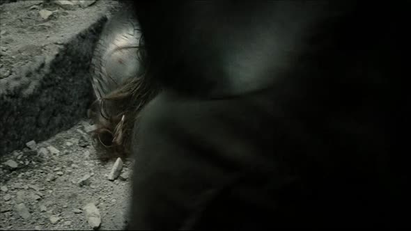 Náhled LOTR 3 - Return of the King (2003).1080p.Cz.Eng 6ch.mkv (3)