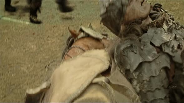 Náhled LOTR 3 - Return of the King (2003).1080p.Cz.Eng 6ch.mkv (8)